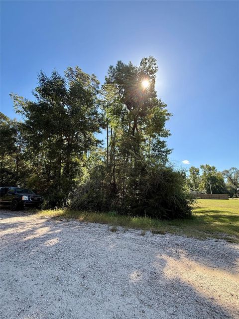 Photo of 9 Berry Knoll, Livingston, TX 77351 (MLS # 79492550)