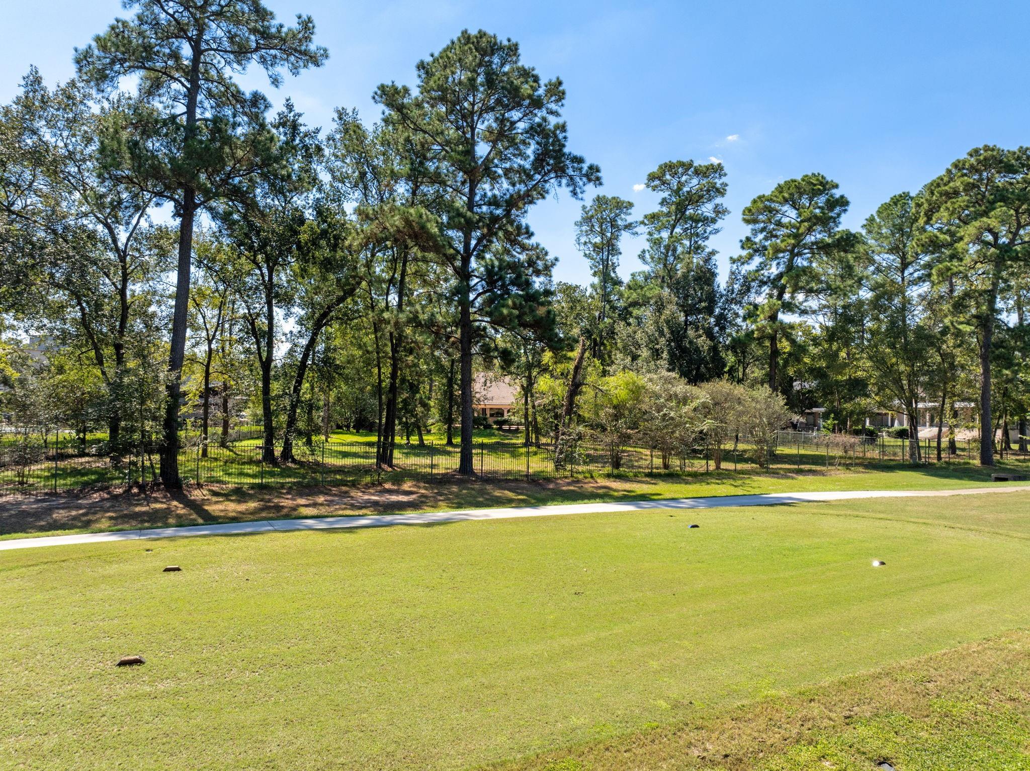 43 N Longspur Drive