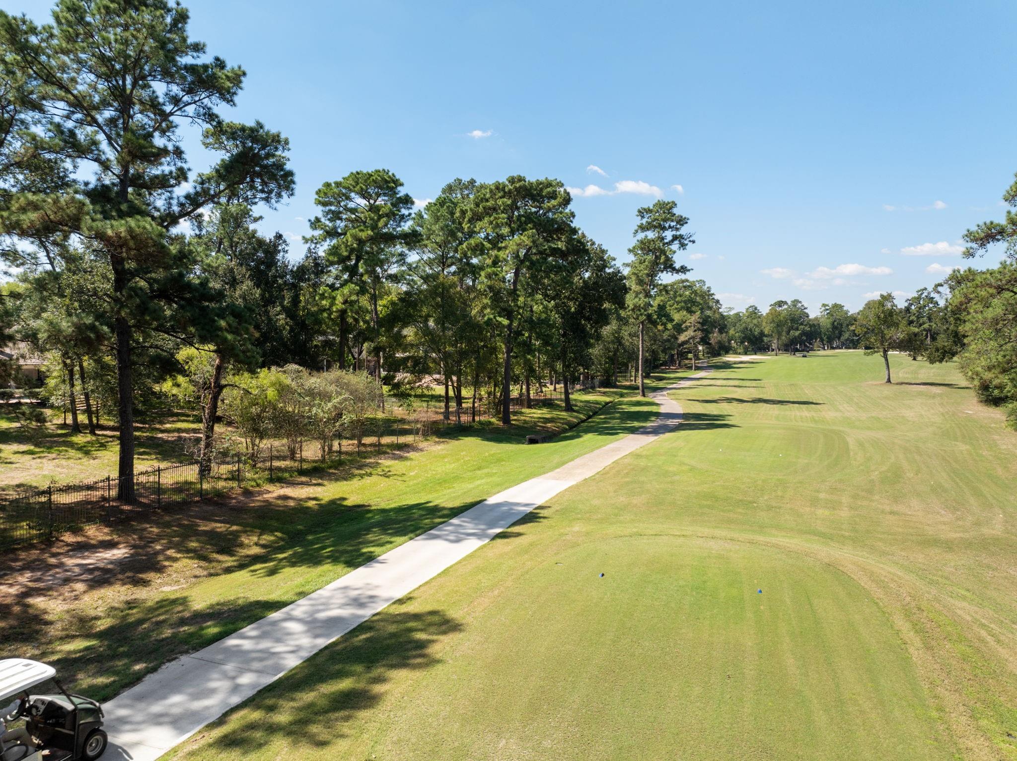 43 N Longspur Drive
