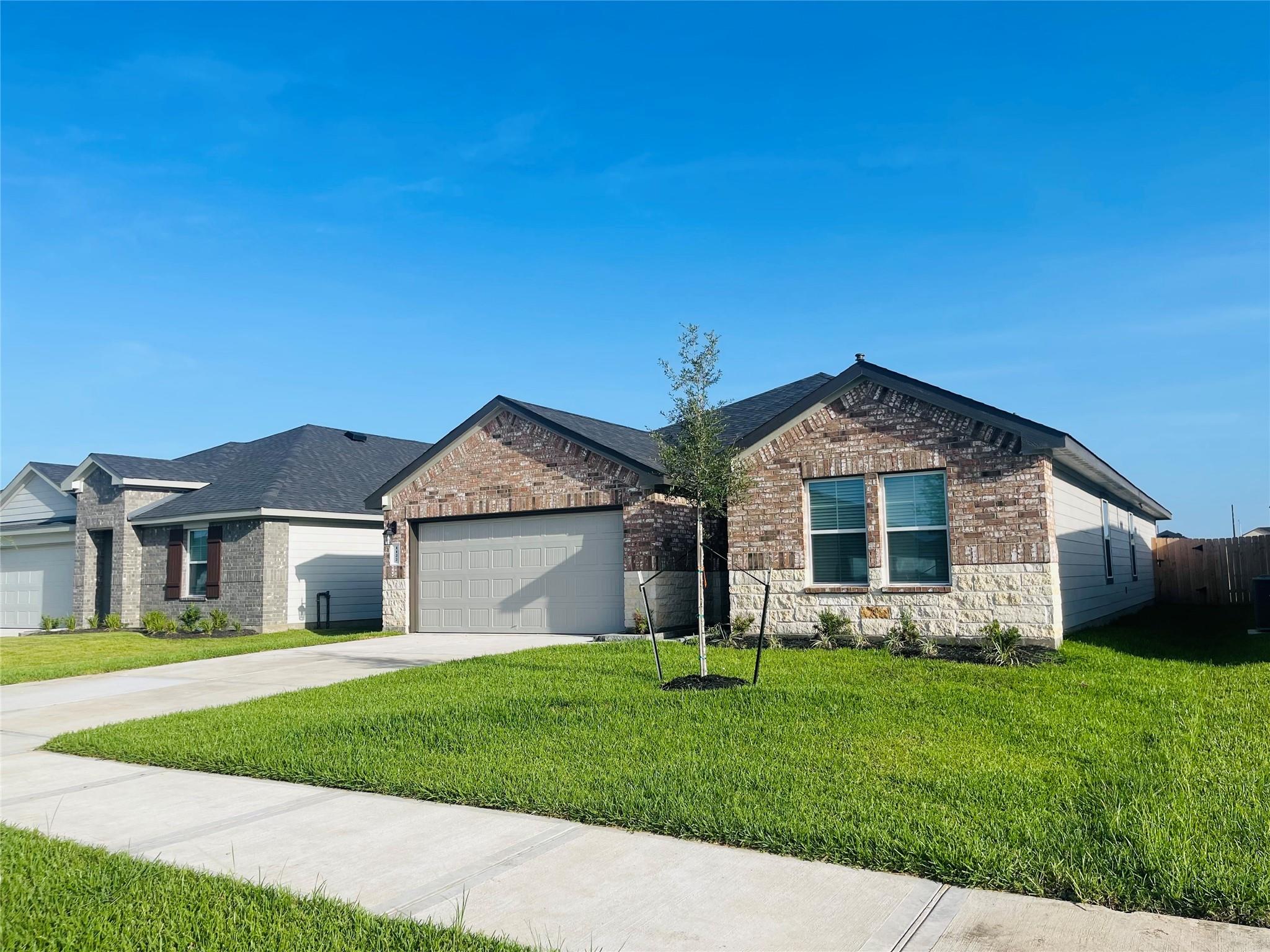 1122 Appaloosa