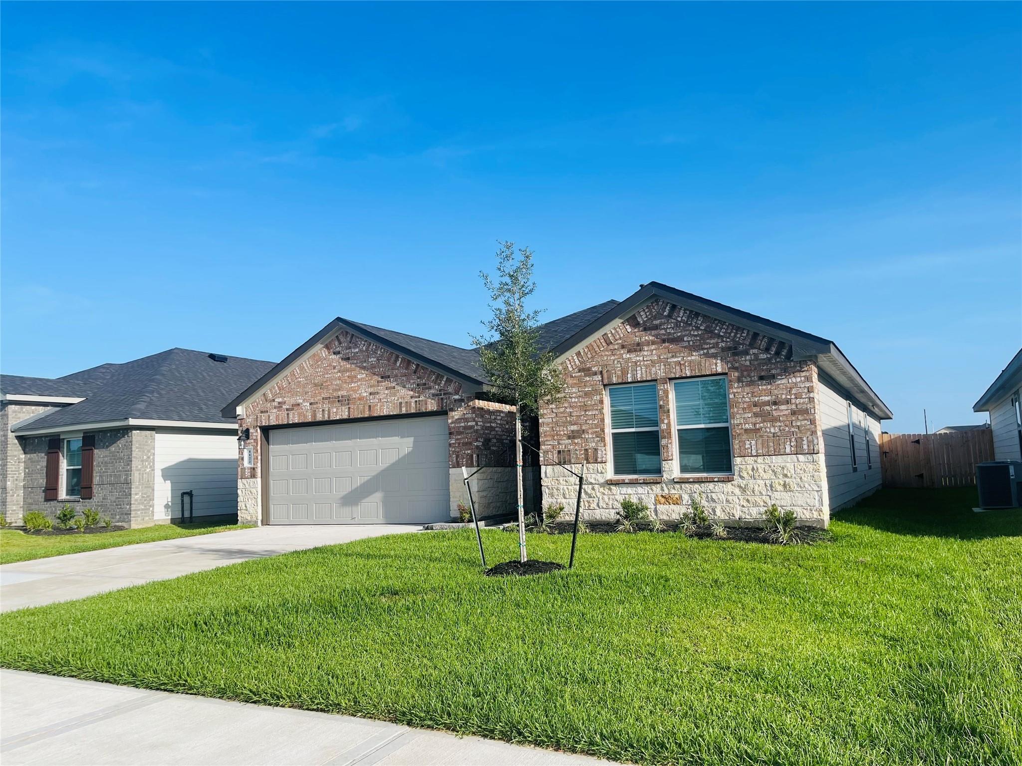 1122 Appaloosa