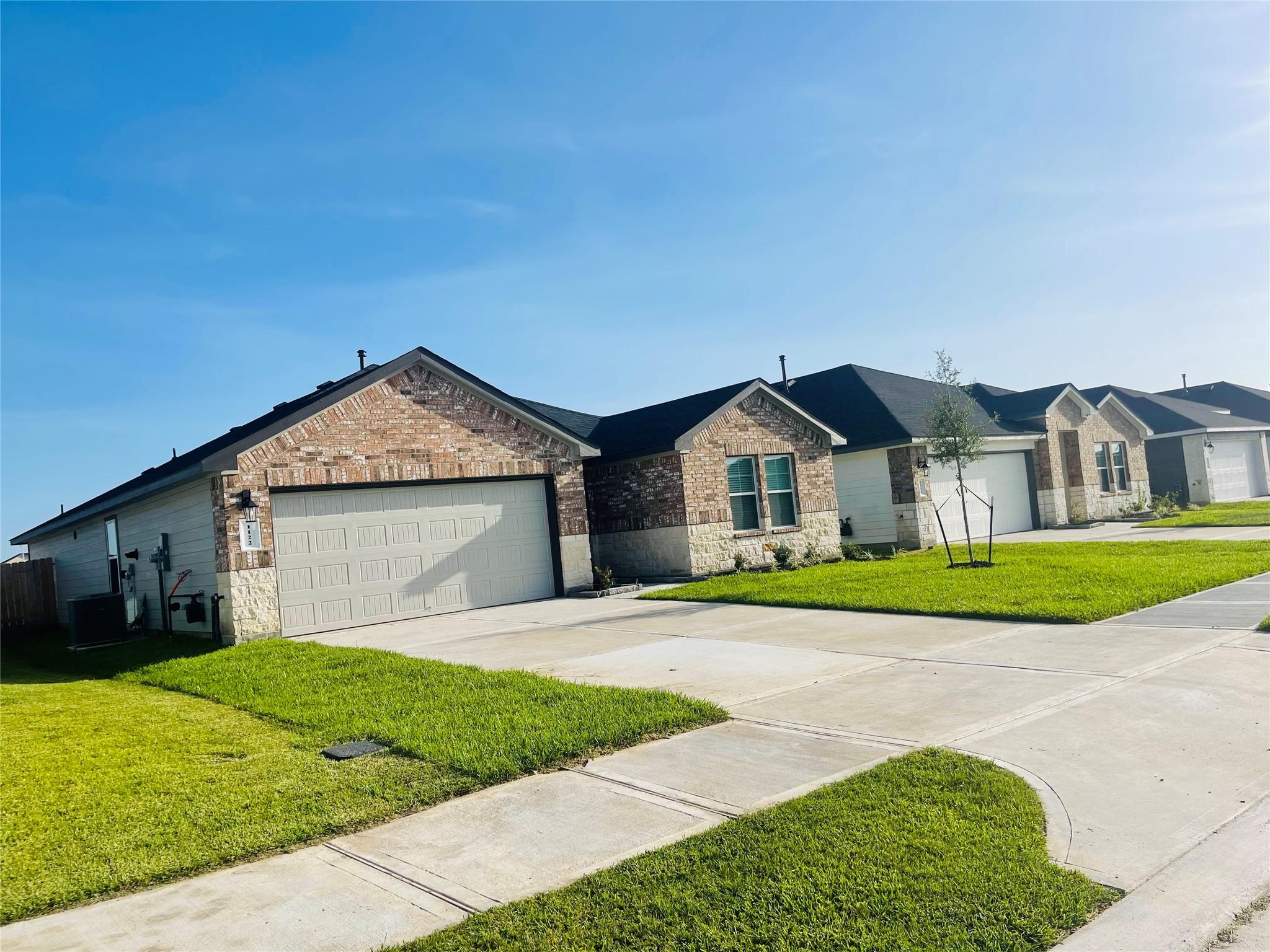 1122 Appaloosa