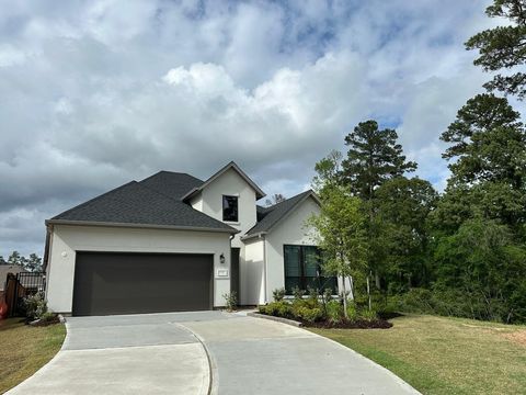 Photo of 7102 Carriage Light Drive Dr, Magnolia, TX 77354 (MLS # 40112332)