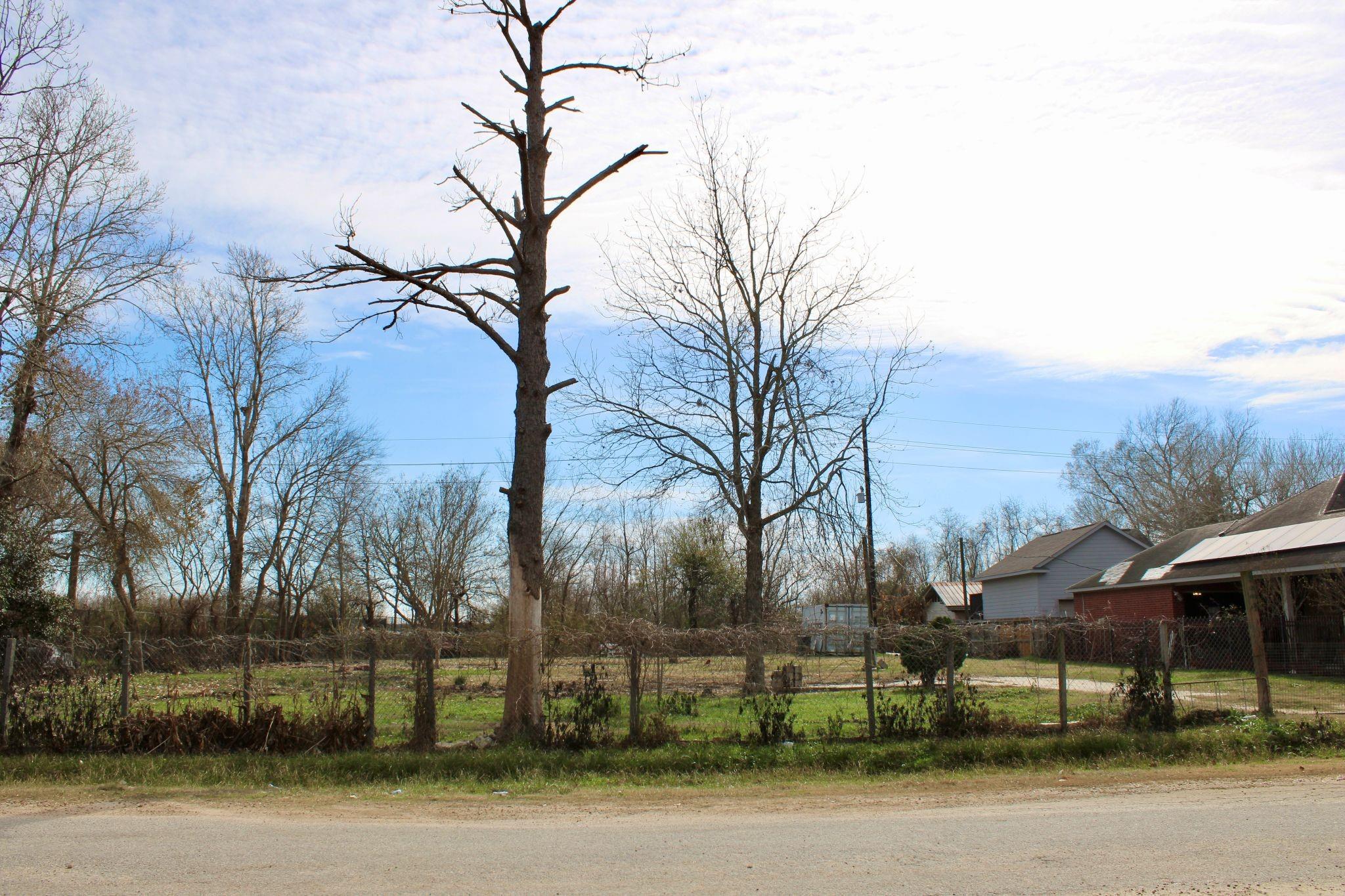 22203 Sandspoint Drive