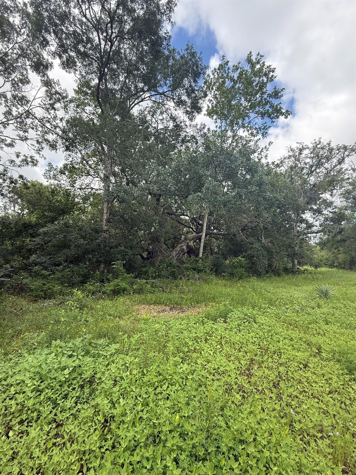 0 County Road 496