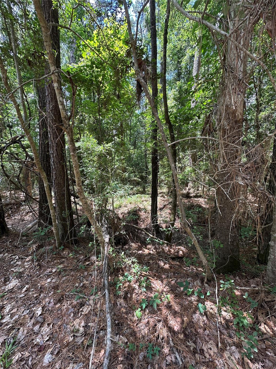 0 Royal Estates Dr