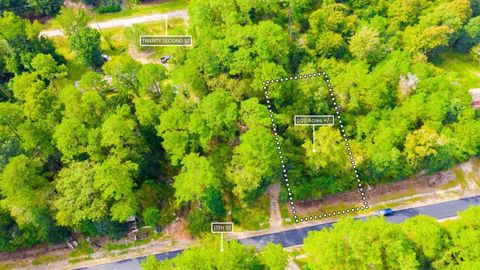 Vacant Land For Sale - LOT 12 17th Street<br/> Tyler County, Ivanhoe, TX 75979