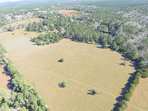 Tiny photo for 7905 Fm 1745 N, Chester, TX 75936 (MLS # 35622494)