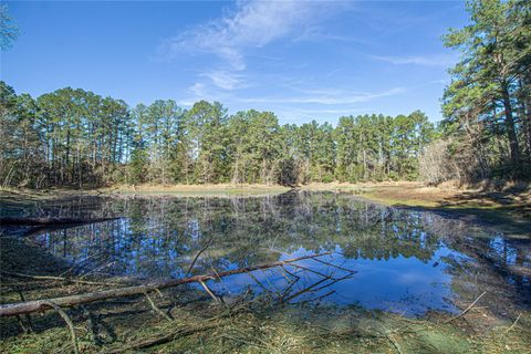 Tiny photo for 7905 Fm 1745 N, Chester, TX 75936 (MLS # 35622494)