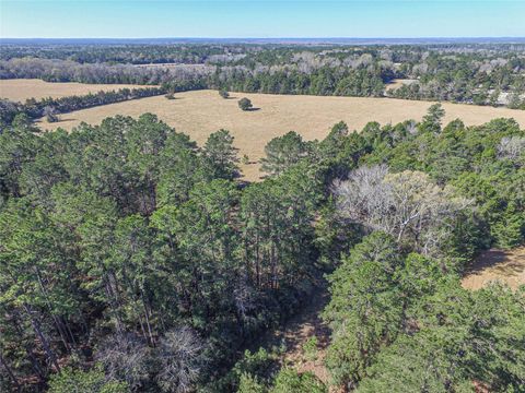 Tiny photo for 7905 Fm 1745 N, Chester, TX 75936 (MLS # 35622494)