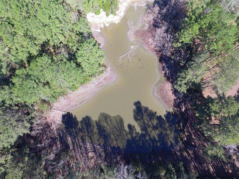 Tiny photo for 7905 Fm 1745 N, Chester, TX 75936 (MLS # 35622494)