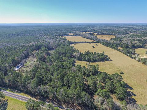 Tiny photo for 7905 Fm 1745 N, Chester, TX 75936 (MLS # 35622494)