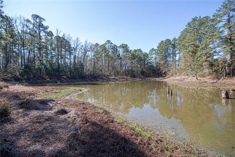 Tiny photo for 7905 Fm 1745 N, Chester, TX 75936 (MLS # 35622494)