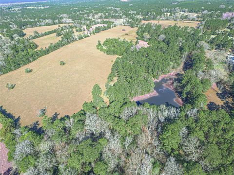 Tiny photo for 7905 Fm 1745 N, Chester, TX 75936 (MLS # 35622494)