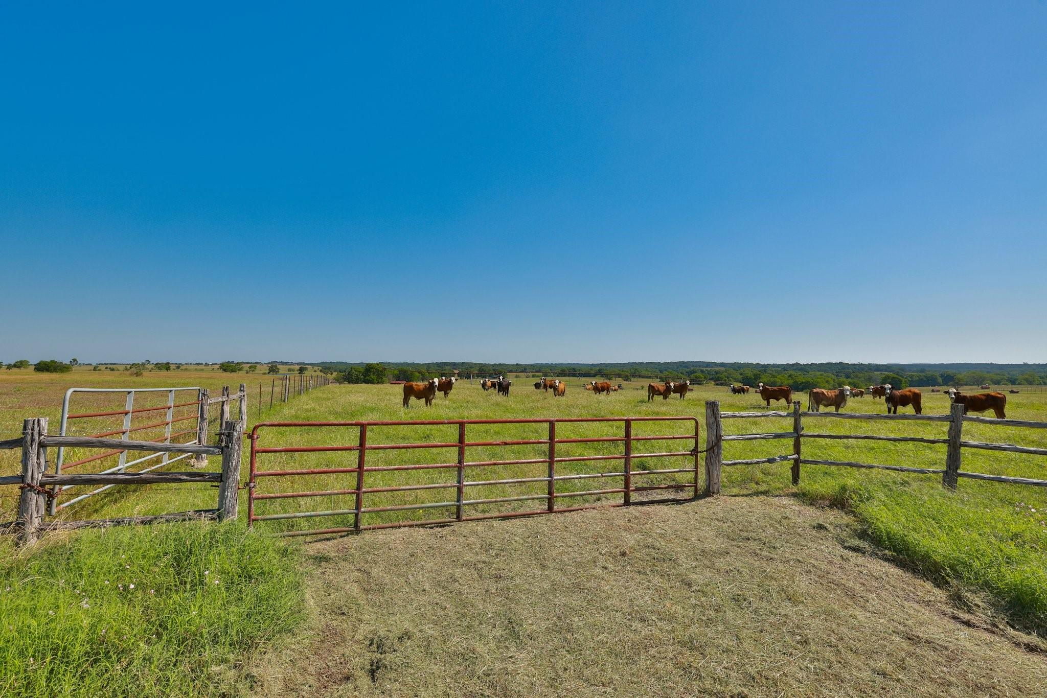 Tract #4 Cr 305 Road