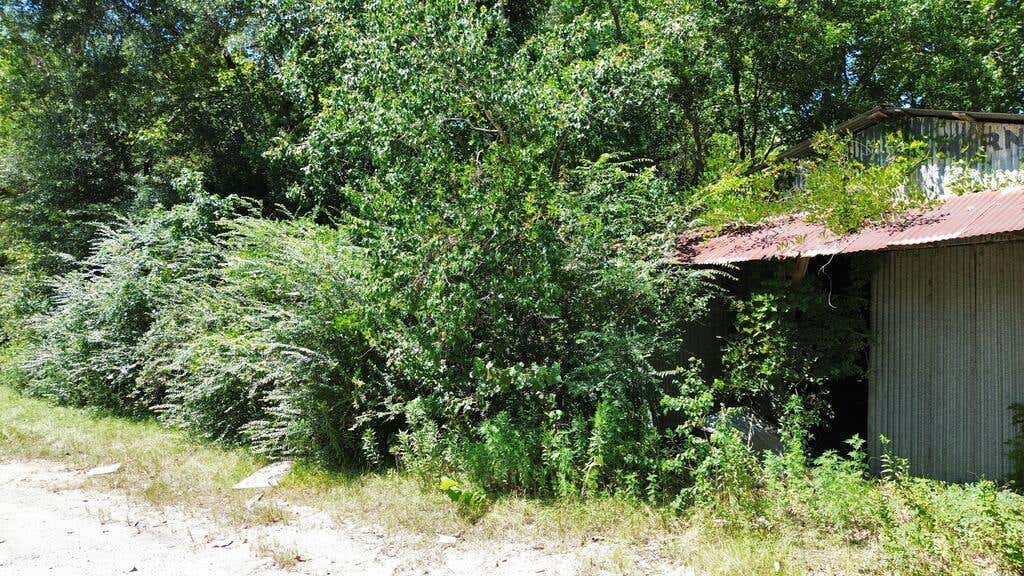 Photo of 48 Fm 1013 W, Kirbyville, TX 75956 (MLS # 89723040)