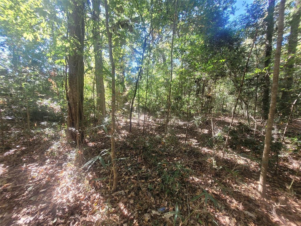 Photo of 0 Lakeside Drive, Cleveland, TX 77327 (MLS # 38040946)