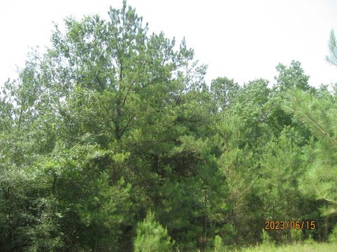 Photo of 0 Round Up Road, Waller, TX 77484 (MLS # 47563471)