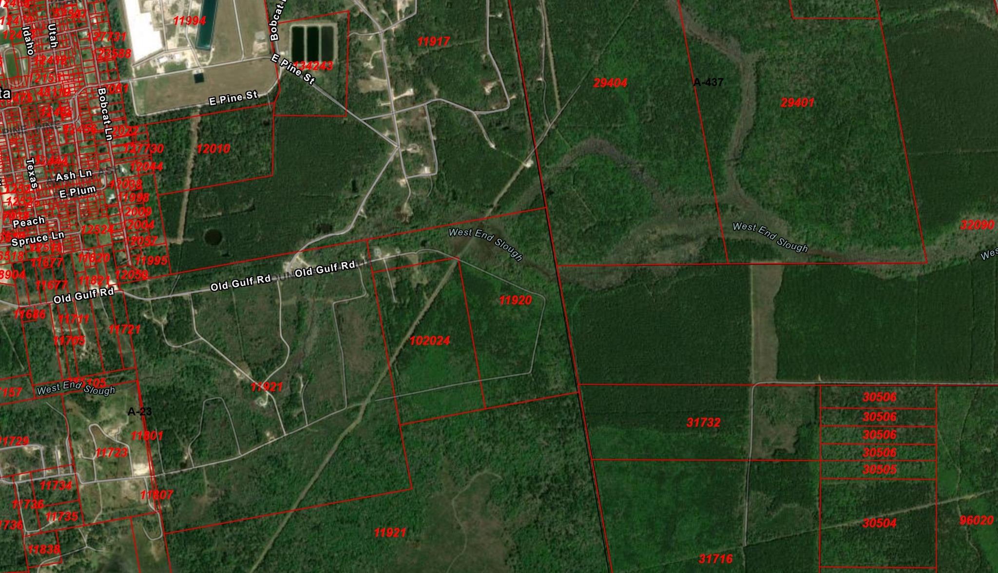 TBD Farm To Market 770 East Of Tx