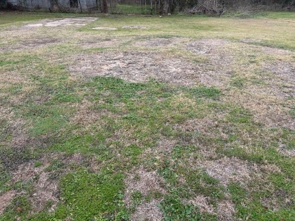 Photo of 412 Williams Street, Sealy, TX 77474 (MLS # 4494743)