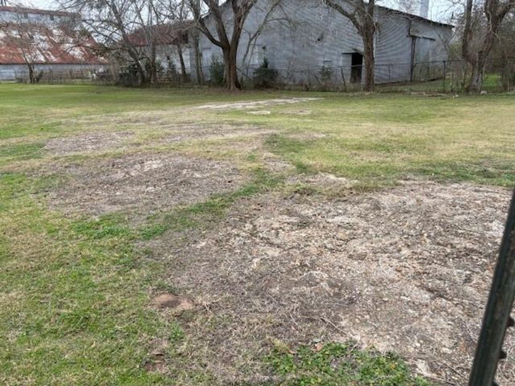 Photo of 412 Williams Street, Sealy, TX 77474 (MLS # 4494743)