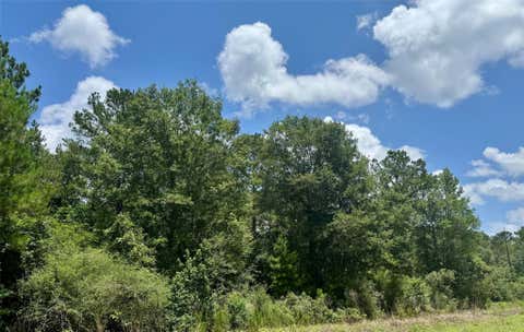 Photo of TBD Riverstone Drive, Livingston, TX 77351 (MLS # 55544050)