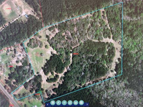 Vacant Land For Sale - TBD Fm 943 E<br/> Polk County, Livingston, TX 77351