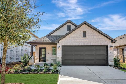 Homes For Sale - 21219 Jacaranda Blossom Way<br/> Tomball, TX 77377