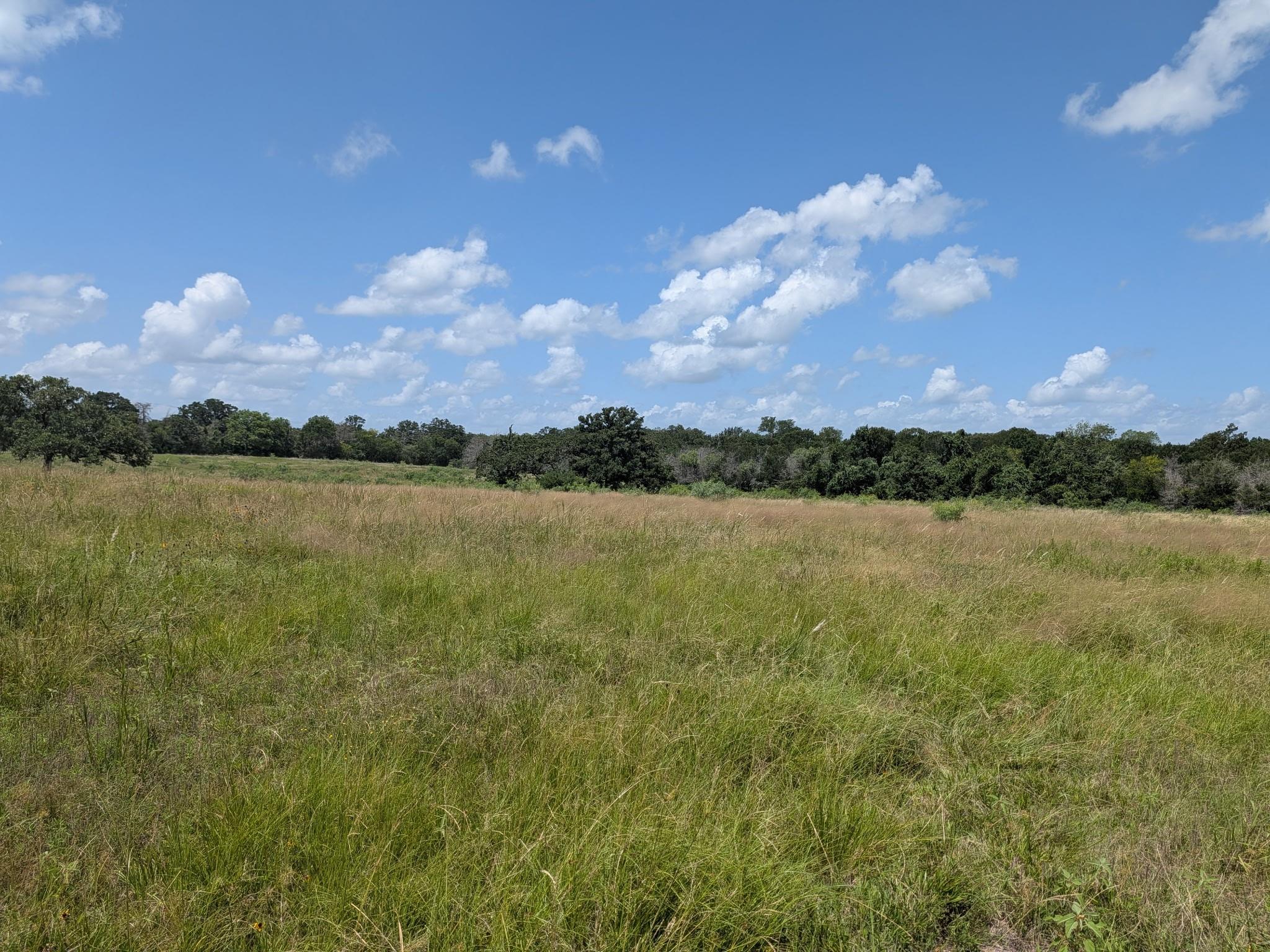 0011 County Road 115