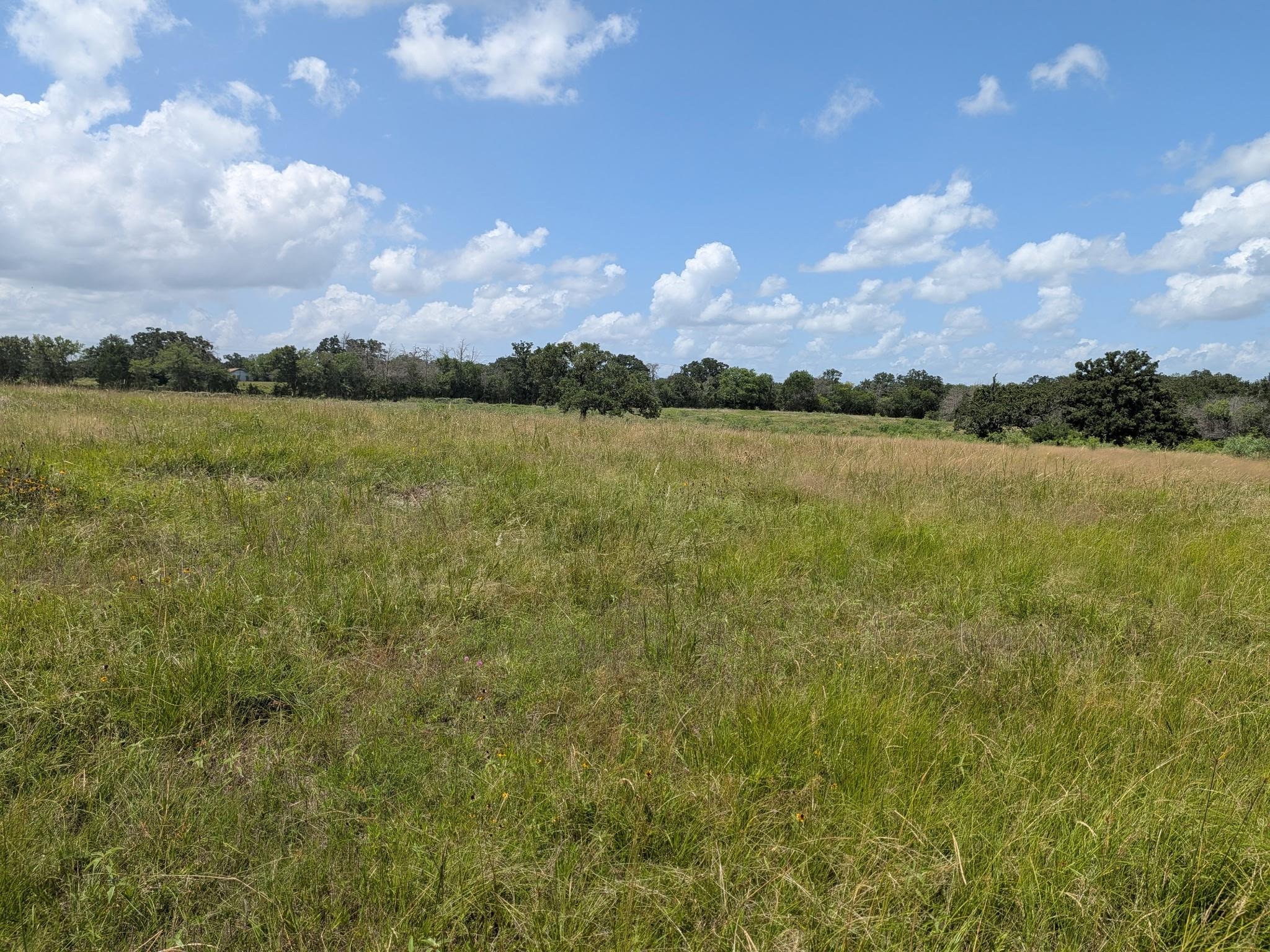 0011 County Road 115