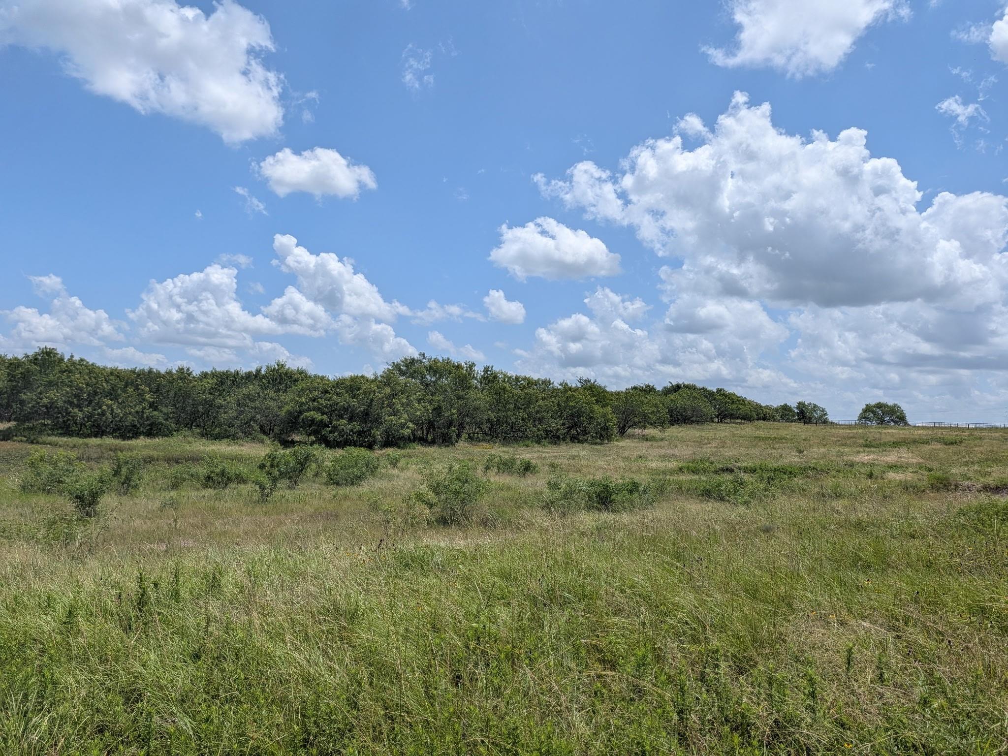 0011 County Road 115