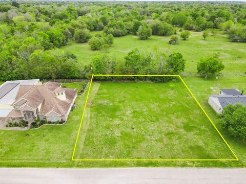 Photo of 19 Hal Mclain Road, Manvel, TX 77578 (MLS # 63201004)