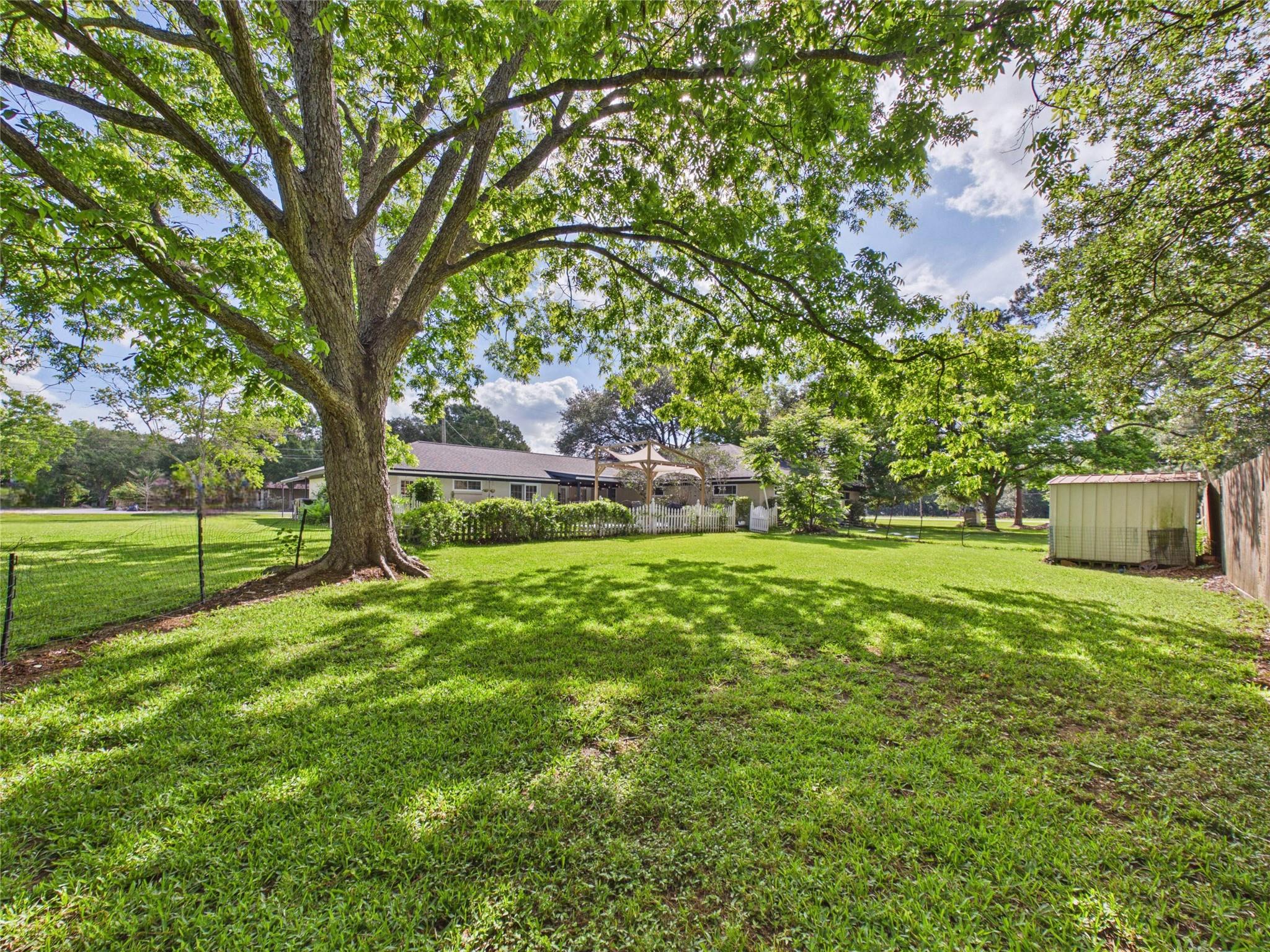 3037 County Road 536
