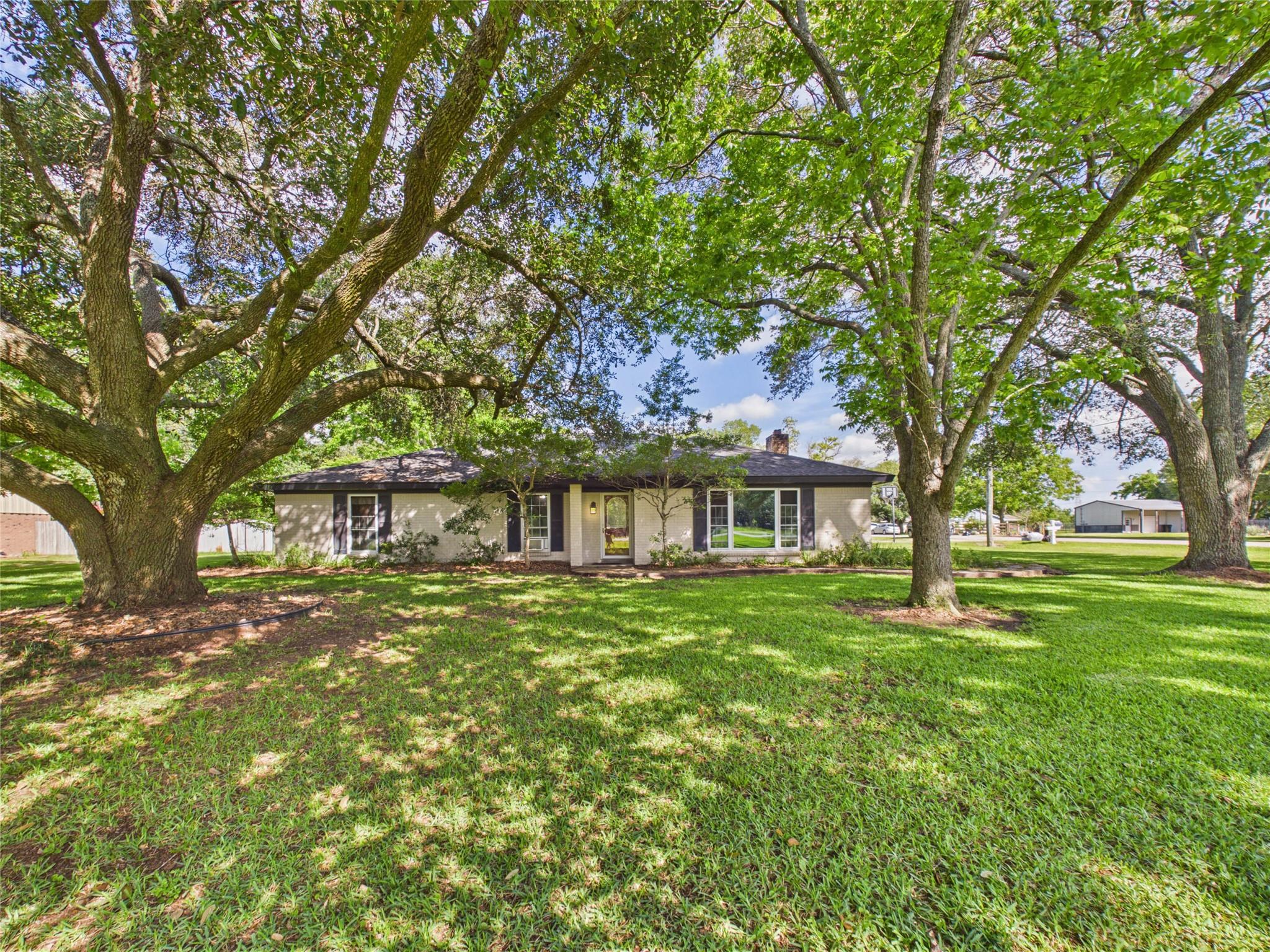 3037 County Road 536