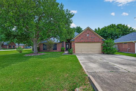 Photo of 3803 Doveswood Circle, Needville, TX 77461 (MLS # 52829521)