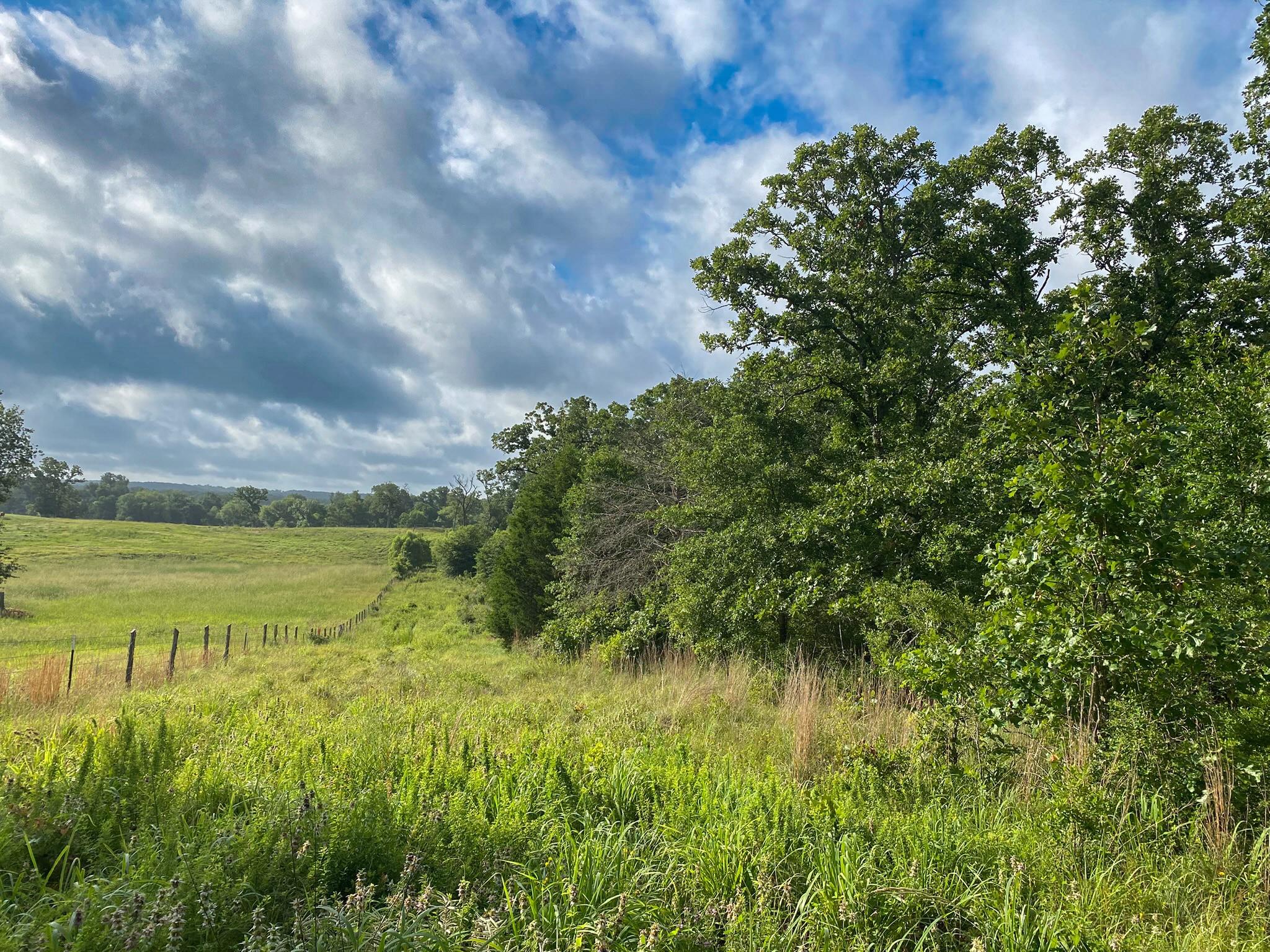 4610 County Road 426