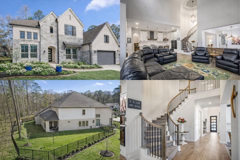 Photo of 208 Twinflower Trail Court, Conroe, TX 77318 (MLS # 32698213)