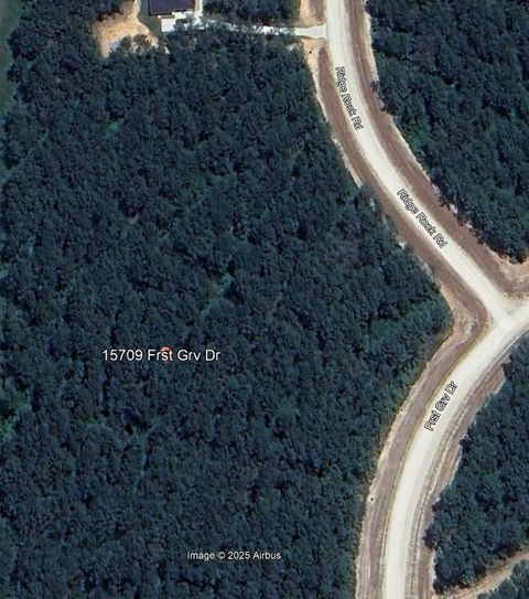 Photo of 15709 Forest Grove Drive, Willis, TX 77378 (MLS # 4854166)