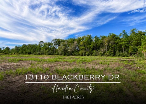 Photo of 13110 Blackberry Drive, Lumberton, TX 77657 (MLS # 33903573)