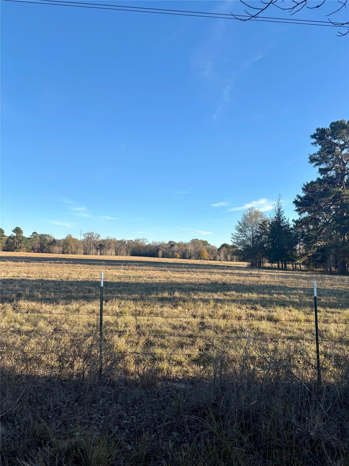 877 County Road 4110