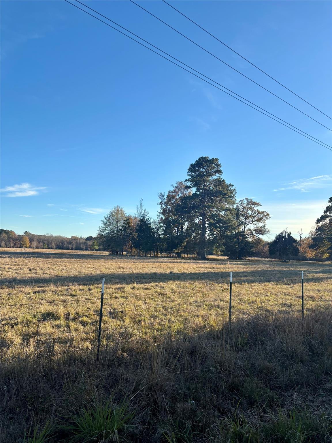 877 County Road 4110