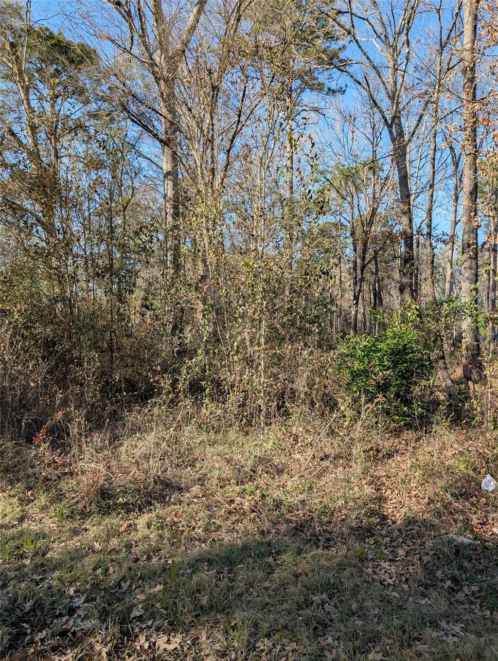 Photo of 25865 Cambridge Boulevard, New Caney, TX 77357 (MLS # 13562046)