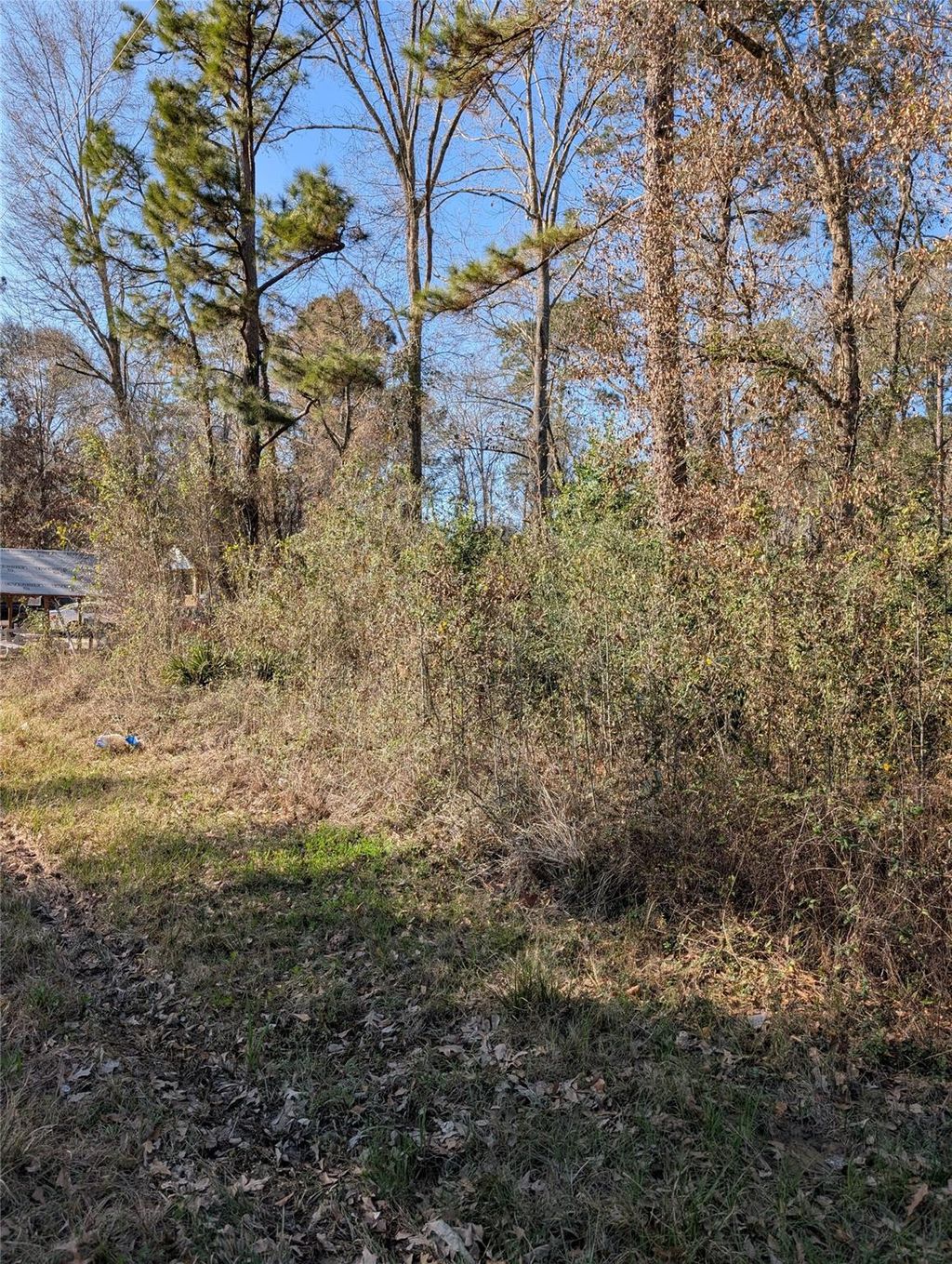 Photo of 25865 Cambridge Boulevard, New Caney, TX 77357 (MLS # 13562046)