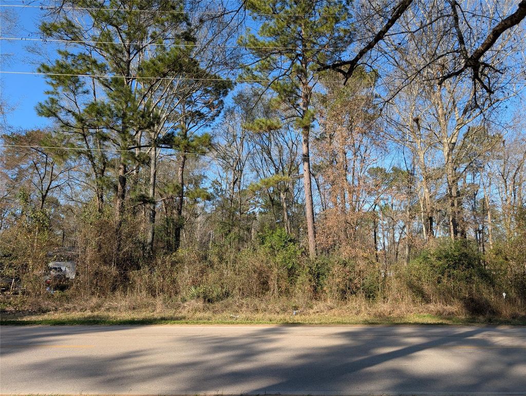 Photo of 25865 Cambridge Boulevard, New Caney, TX 77357 (MLS # 13562046)