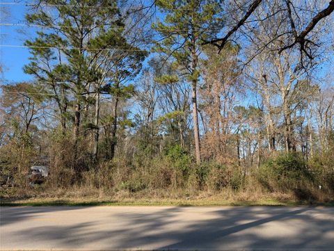 Photo of 25865 Cambridge Boulevard, New Caney, TX 77357 (MLS # 13562046)