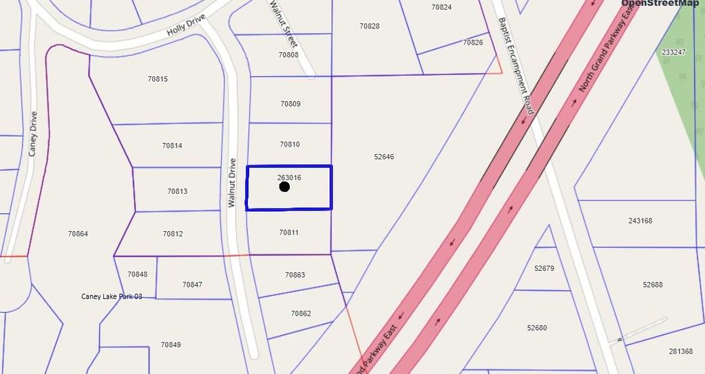 Photo of 21117 Walnut Drive, New Caney, TX 77357 (MLS # 69286355)