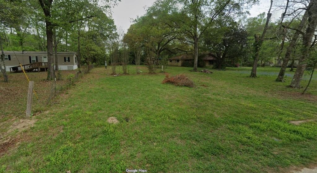 Photo of 21117 Walnut Drive, New Caney, TX 77357 (MLS # 69286355)