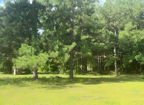 Photo of 0 County Road 4067, Bon Wier, TX 75928 (MLS # 9765697)