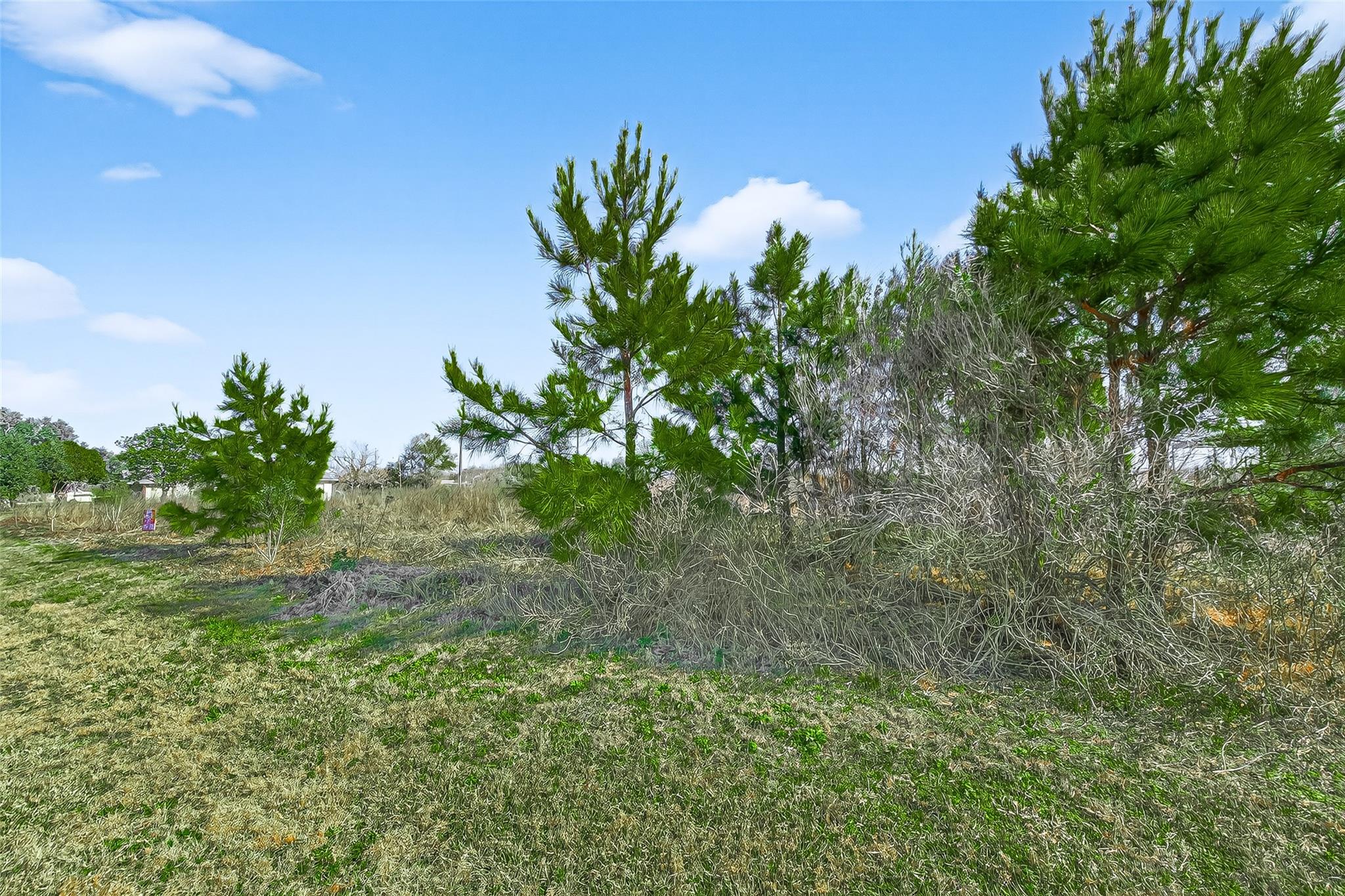 Photo 1 of 25 — 0 Ruby Drive, Prairie View, TX 77484