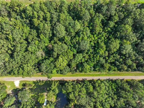 0 Lot 13 Dora Ln Lane Shepherd TX 77371